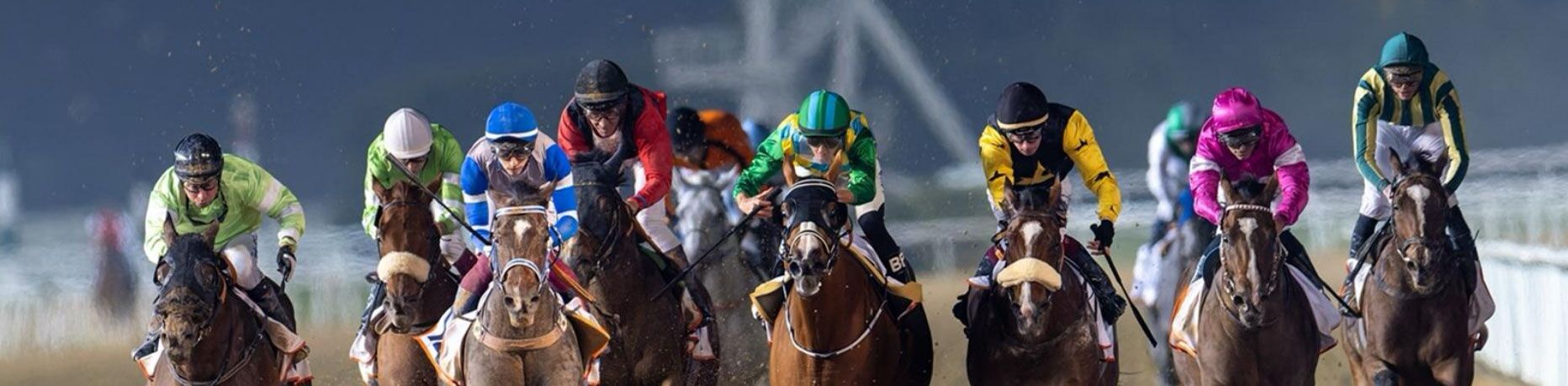 Meydan Racecourse Equestrian Centre