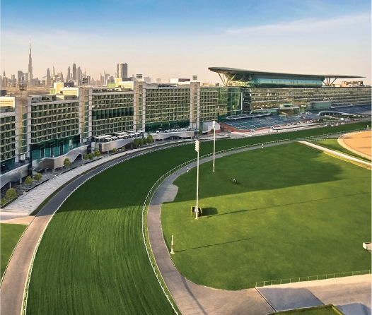 Meydan Racecourse Equestrian Centre campus